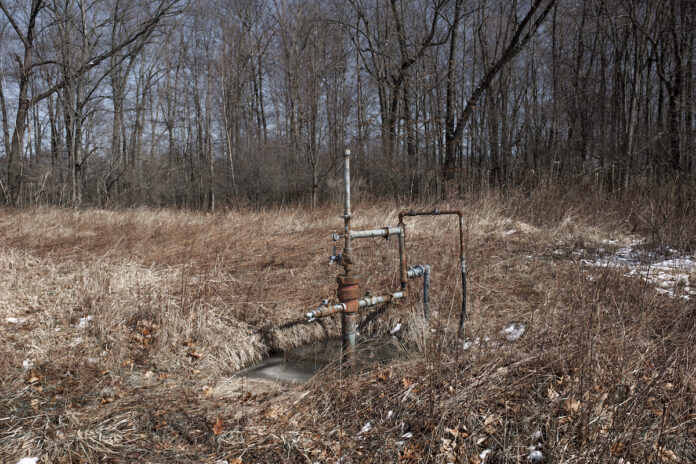 mccallion well A well head sits in a brushy area next to some trees