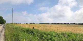 Fackler Farm