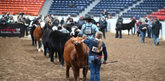 35th Ohio Beef Expo