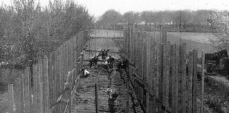 Ward's Canal