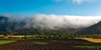 California farm