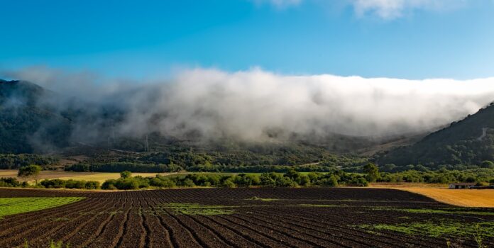 California farm California farm