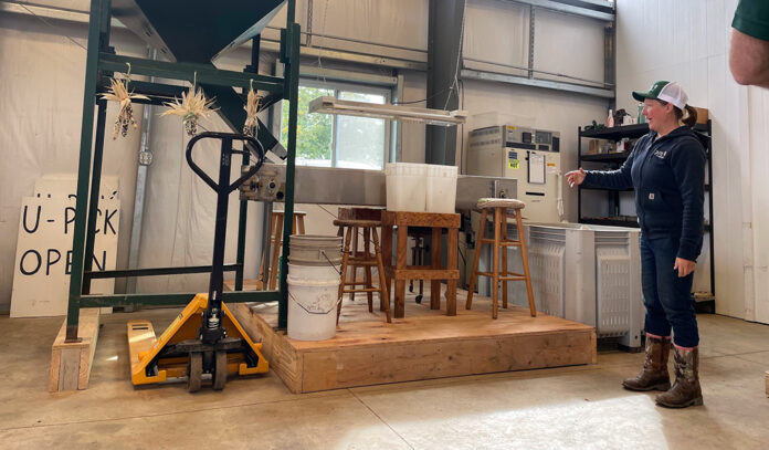 header Amy shows chestnut milling equipment woman stands beside chestnut milling machine at Rural Action