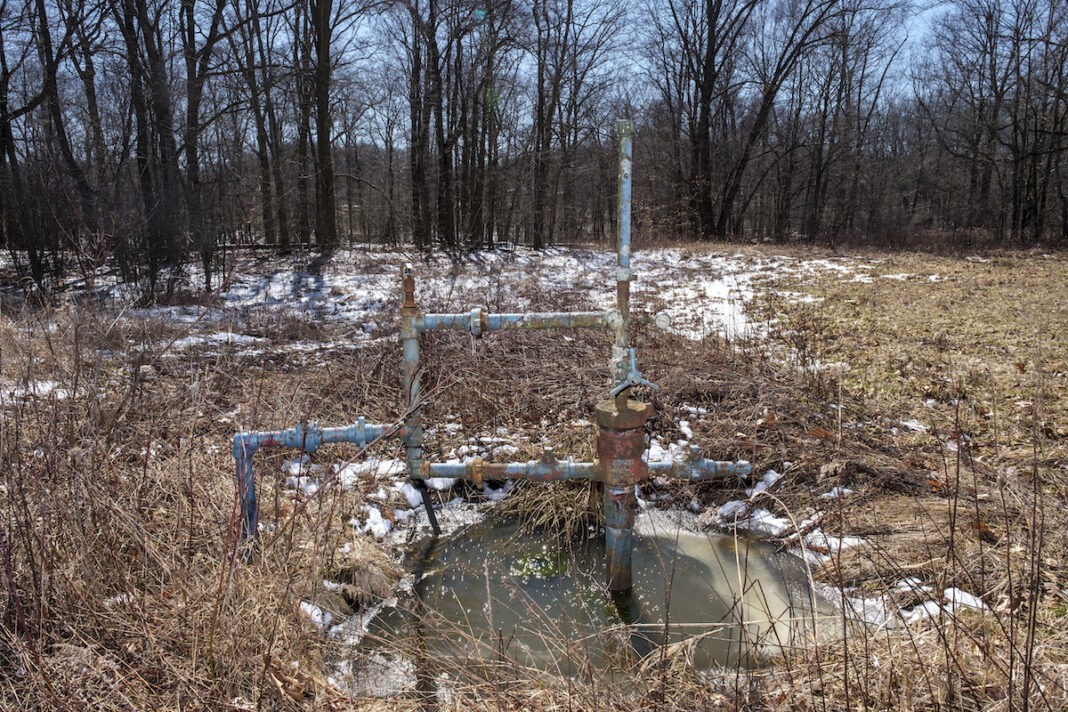 mccallion-well a well head sits in a brushy area next to some trees