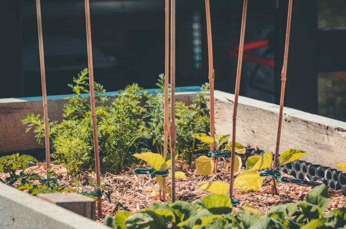raised bed garden raised bed garden