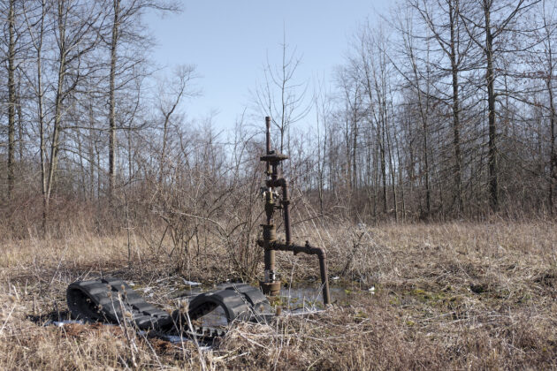 a well head sits in a brushy area next to some trees