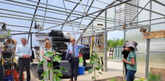 three people in business casual wear stand in a greenhouse talking to a woman in a floppy hat
