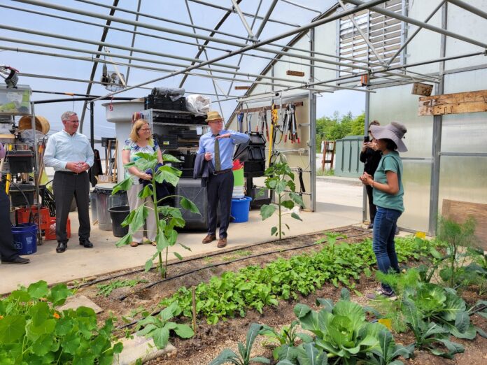 redding at chatham three people in business casual wear stand in a greenhouse talking to a woman in a floppy hat