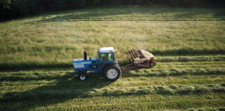 a blue tractor moves across a field of green, mowing hay