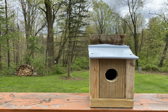 nest box nest box