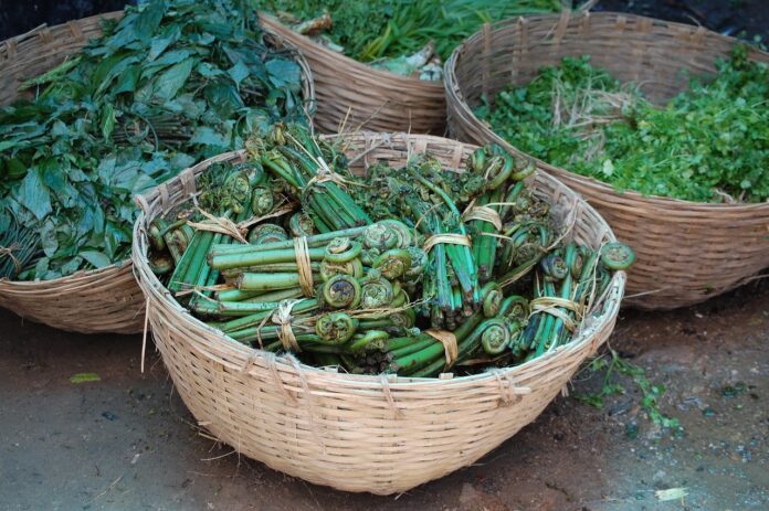 fiddleheads fiddleheads