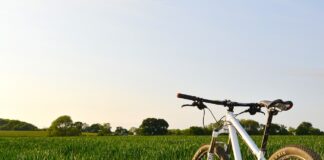 bicycle in a field