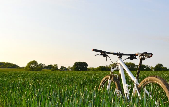 bicycle in a field bicycle in a field