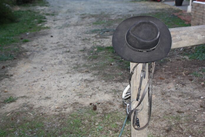 cowboy hat cowboy hat
