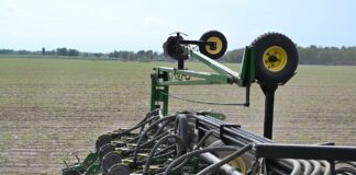 soybean planting