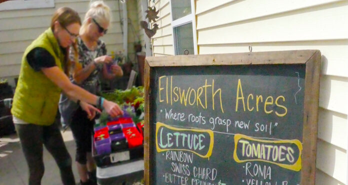 l-header_01womenwithsignn Two women stand next to table full of plants with sign in the foreground that says Ellsworth Acres
