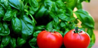 tomatoes and basil
