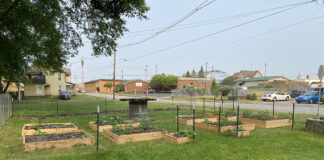 community garden