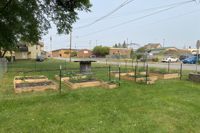 community garden community garden