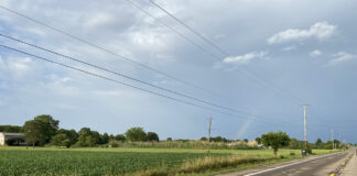 rainbow over cornfield