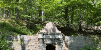 Fountain of Youth
