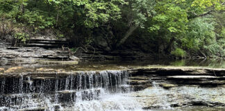 Caesar Creek
