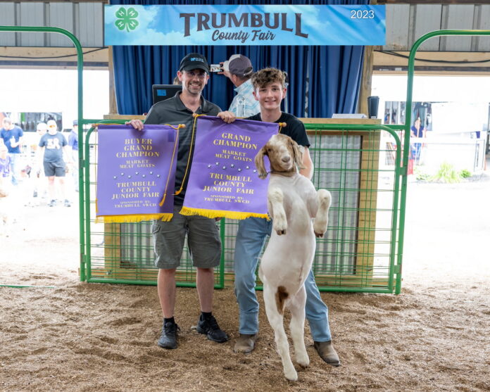 Goat-Grand_NZ9_1559