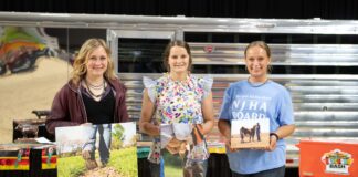 photo contest winners