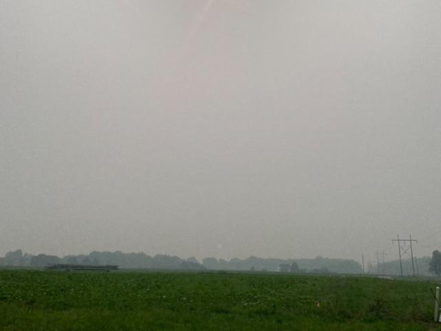 hazy fields hazy fields