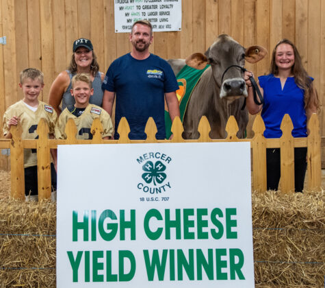 High Cheese Yield 2023