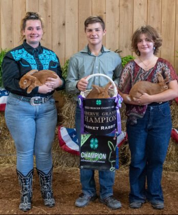 Reserve Grand Champion Market Rabbit Project 2023