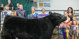 2023 Grand Champion Market Steer