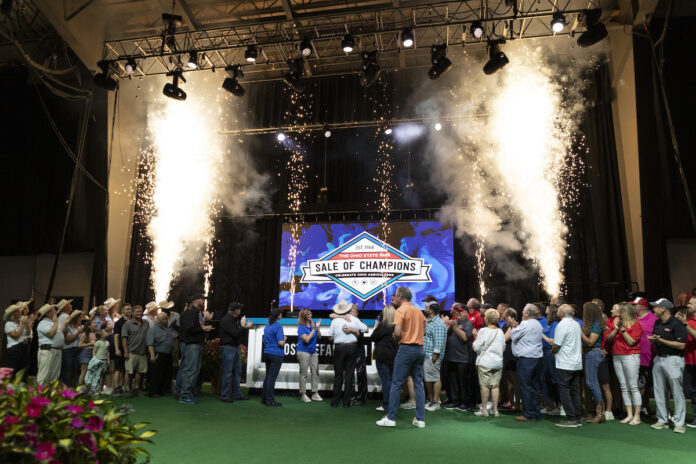 ohio state fair sale of champions