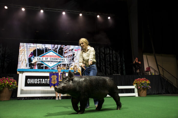 2023 Ohio State Fair Sale of Champions a girl walks a pig on a stage
