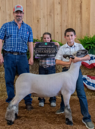 Reserve Grand Champion Market Lamb 2023