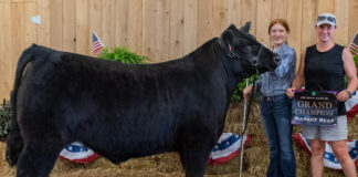 Grand Champion Market Beef 2023
