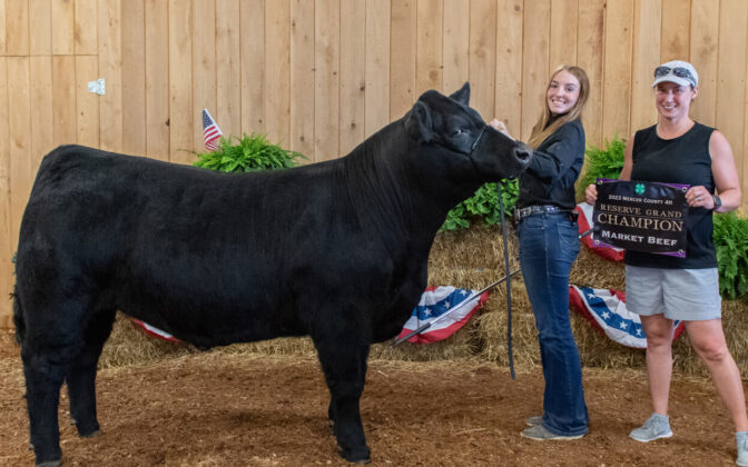 Reserve Grand Champion Market Beef 2023