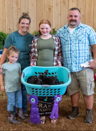 Grand Champion Market Rabbit Project 2023