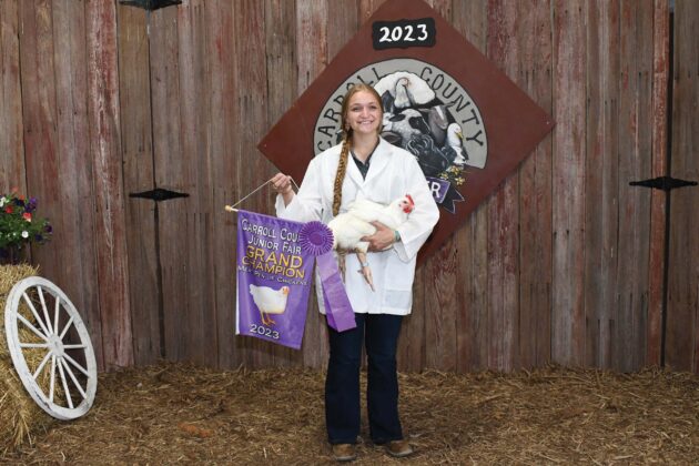 Grand Champion Chickens