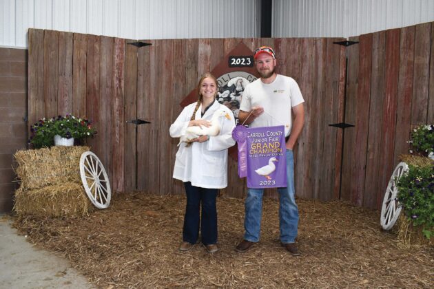 Grand Champion Ducks
