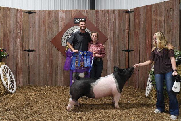 Grand Champion Hog