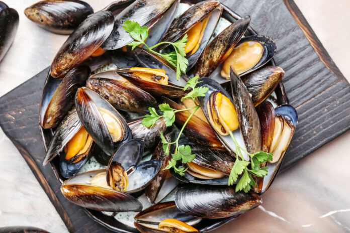 Mussels-web