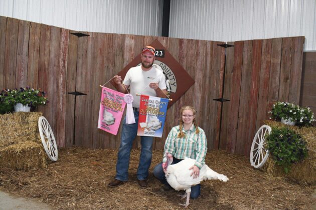 Reserve Champion Turkey