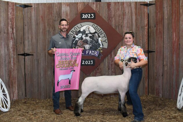 Reseve Champion Lamb