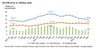 dairy excel chart