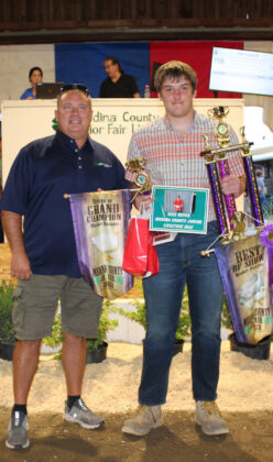 Grand Champion Chickens