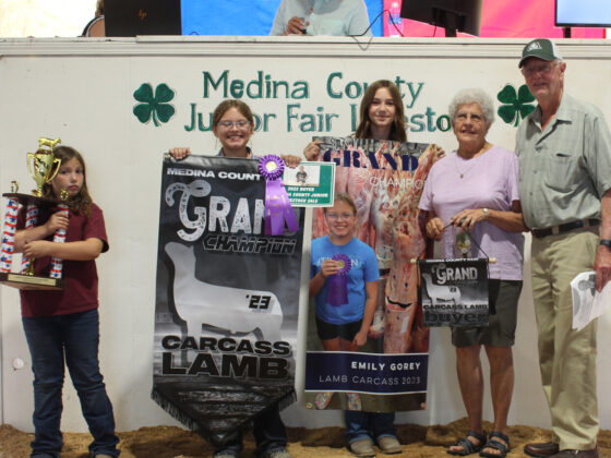 Grand Champion Carcass Lamb