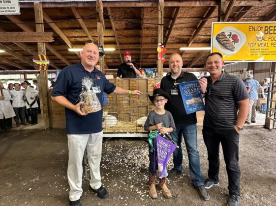 Grand Champion Chickens
