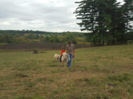 grandmas farm