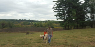 grandmas farm